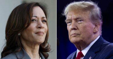 Elezioni Usa. Il duello Trump-Harris tra sondaggi e sistema elettorale