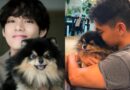 Taehyung saluta il suo Yeontan: il toccante messaggio sui social 